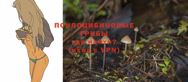 мяу мяу мука Армянск