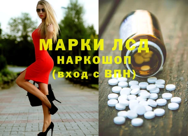 гашик Аркадак