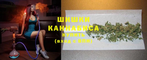 гашик Аркадак