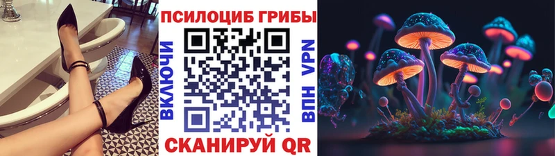 наркошоп  Новоалександровск  KRAKEN как войти  Псилоцибиновые грибы Magic Shrooms 