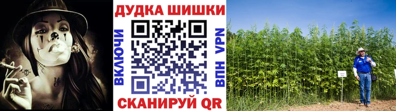 где найти   Новоалександровск  Шишки марихуана индика 